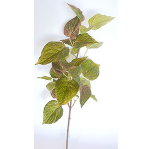 022032746156-galerias el triunfo