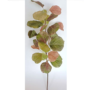 022032746164-galerias el triunfo