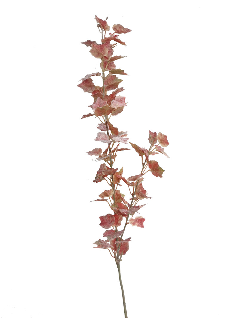 022032746219-galerias el triunfo