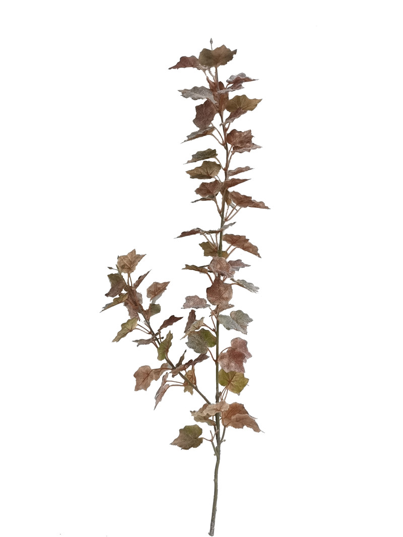 022032746221-galerias el triunfo