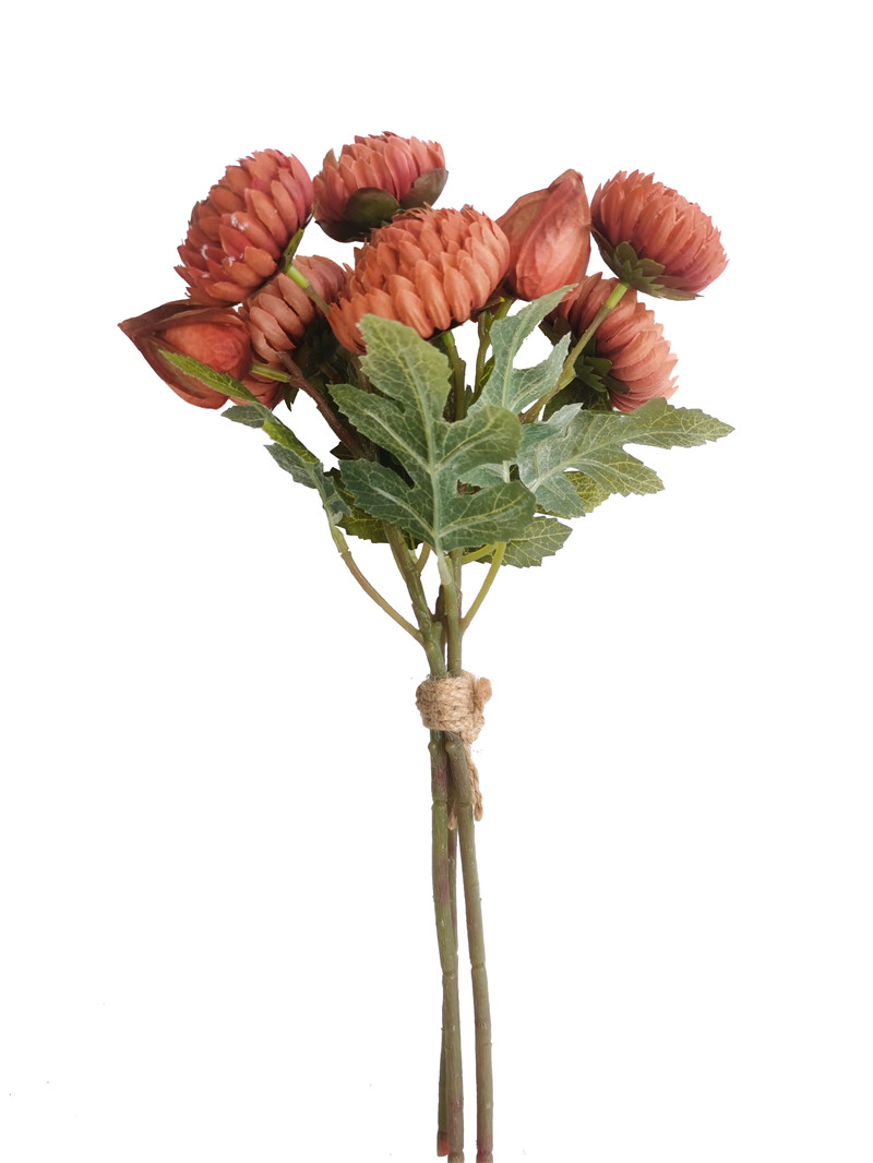 022032746230-galerias el triunfo