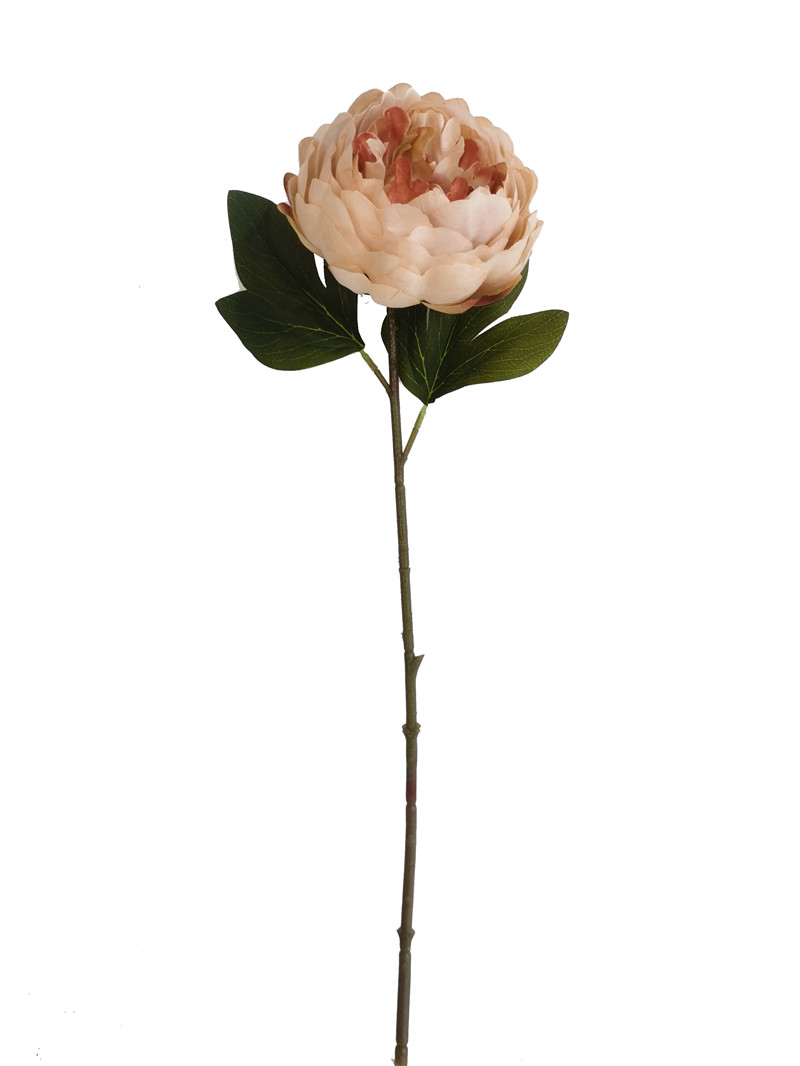 022032746239-galerias el triunfo