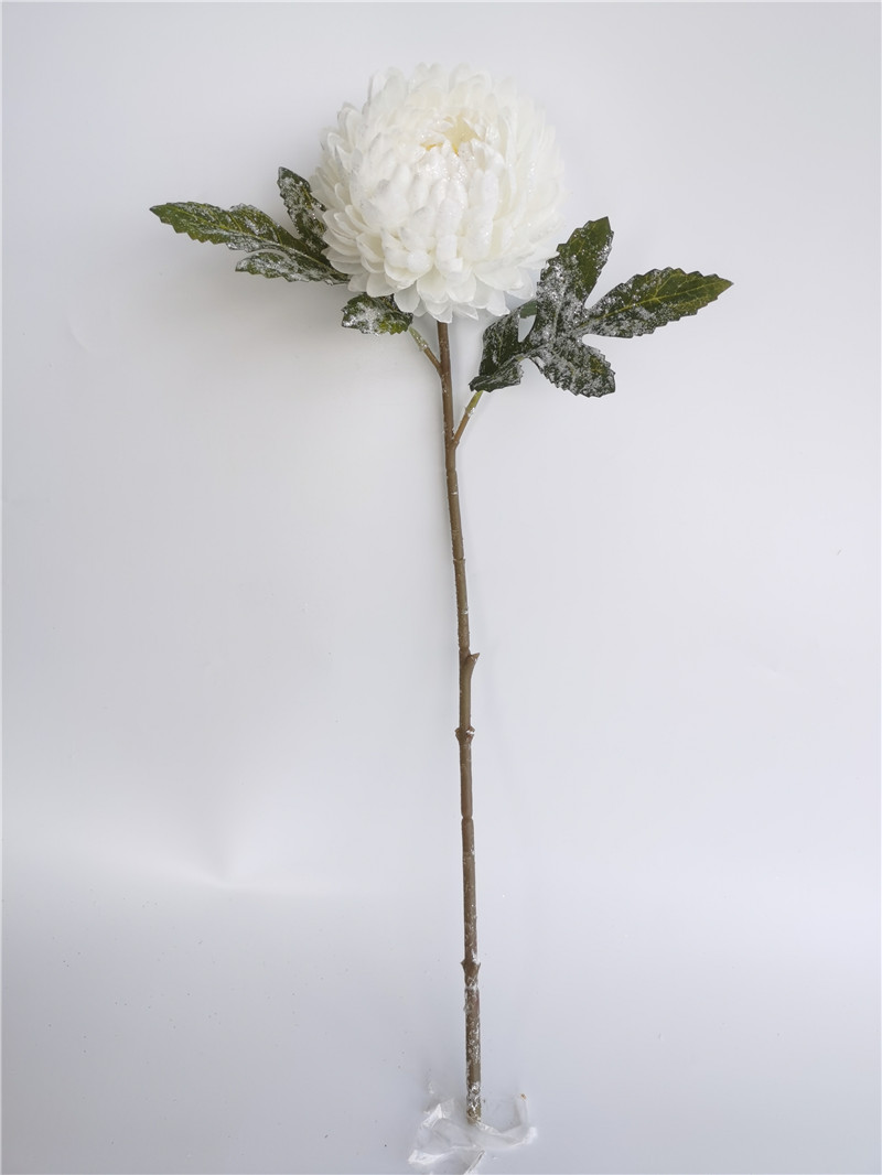 022032746261-galerias el triunfo