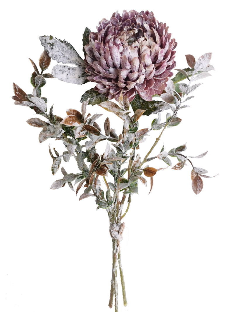 022032746298-galerias el triunfo