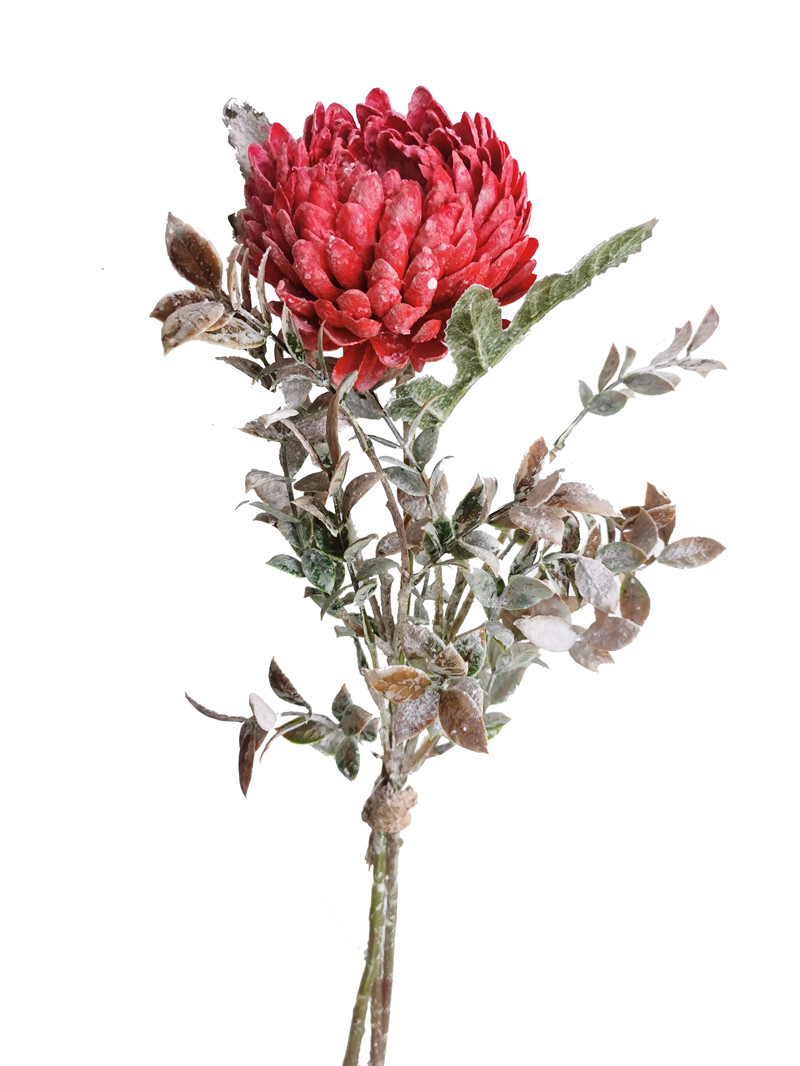 022032746299-galerias el triunfo