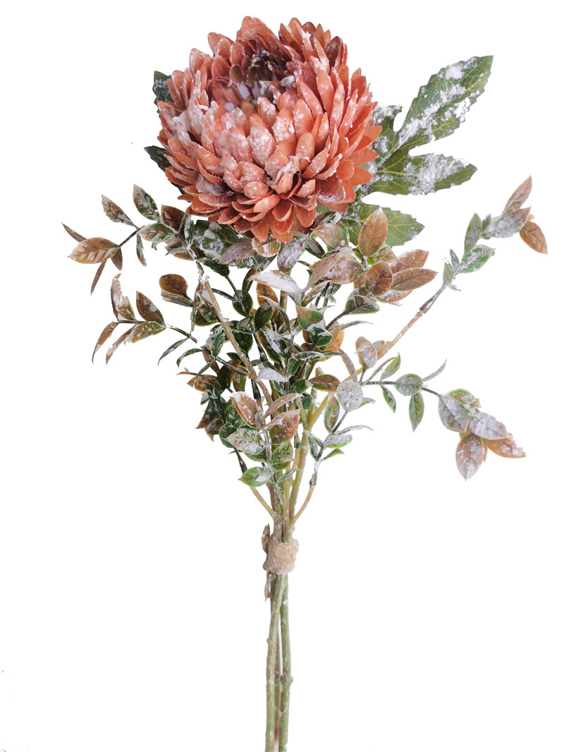 022032746300-galerias el triunfo