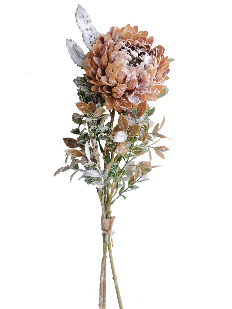 022032746301-galerias el triunfo