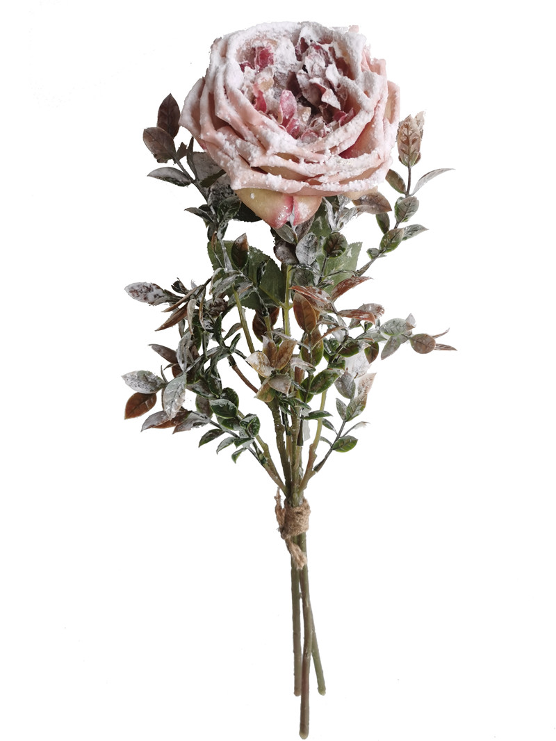 022032746310-galerias el triunfo