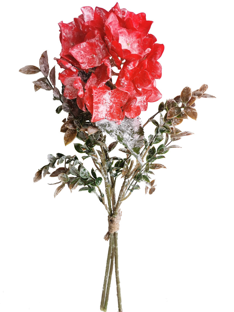 022032746320-galerias el triunfo