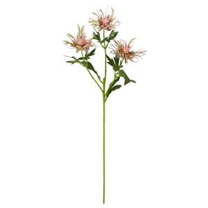 022032811010-galerias el triunfo