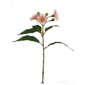 022032811022-galerias el triunfo