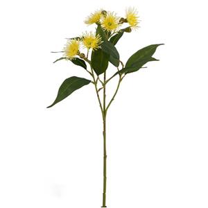 022032811027-galerias el triunfo