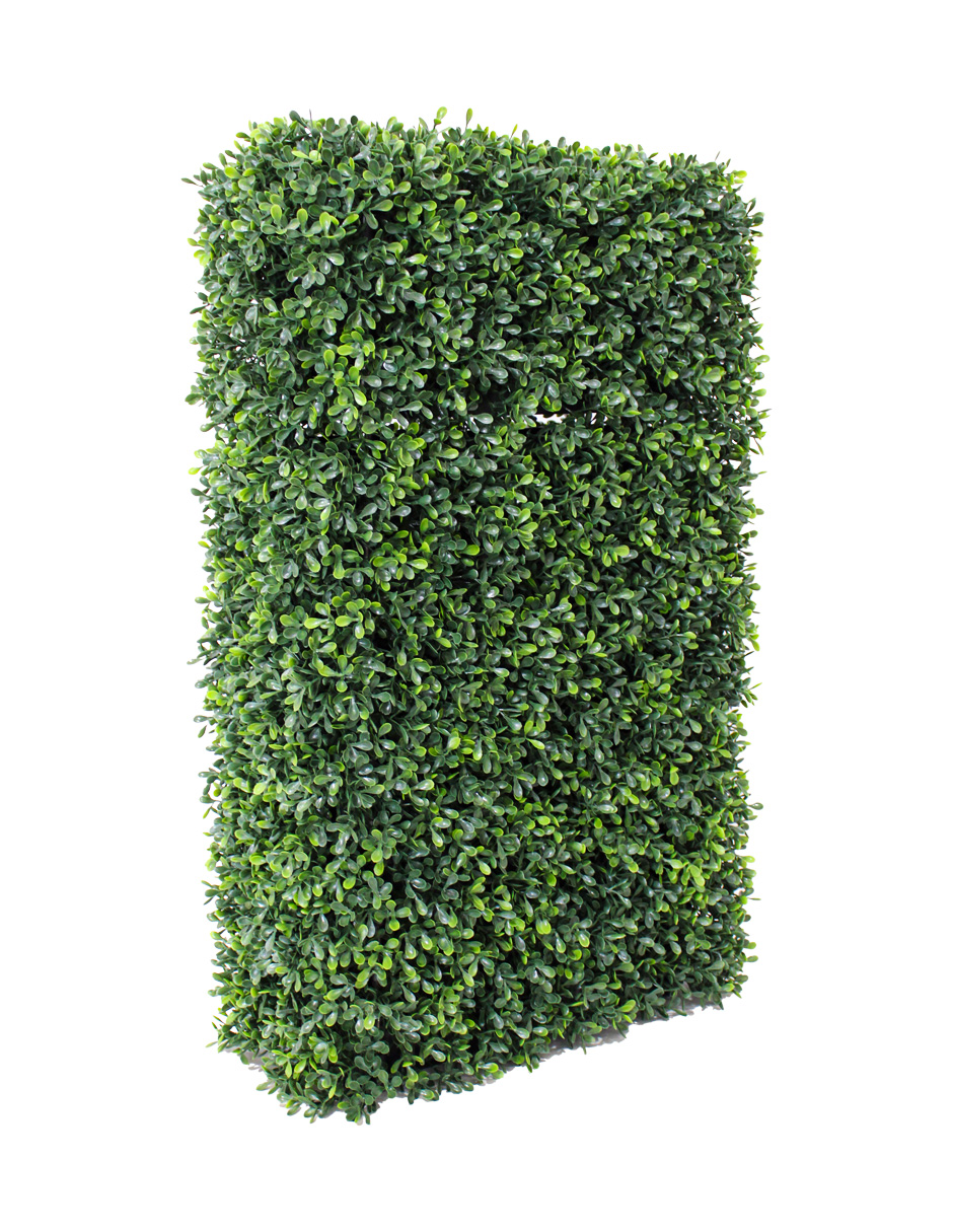 024071525050-galerias el triunfo