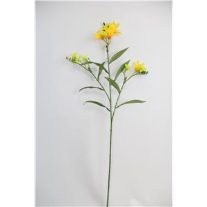 028071005205-galerias el triunfo