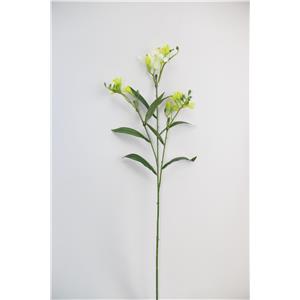 028071005206-galerias el triunfo