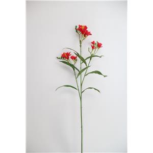 028071005207-galerias el triunfo