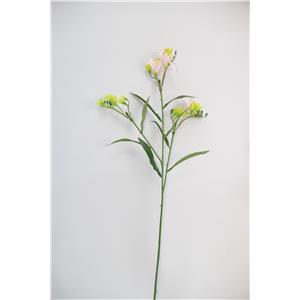 028071005208-galerias el triunfo