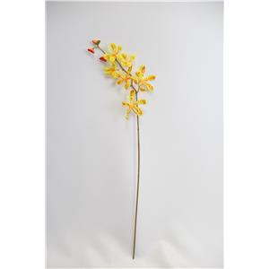 028071005221-galerias el triunfo