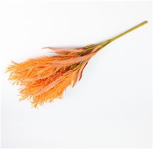 049072724079-galerias el triunfo