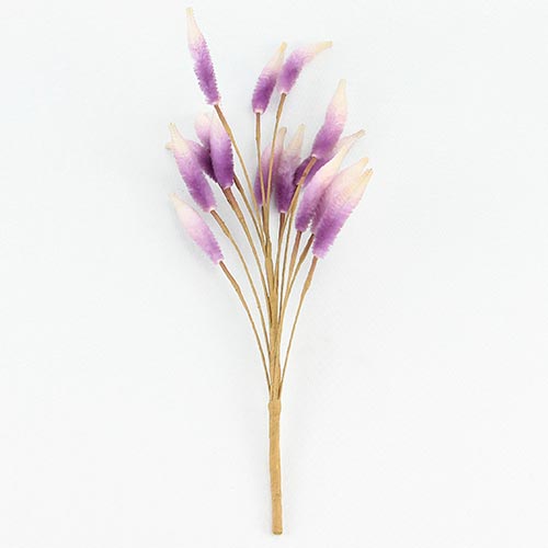 049072724250-galerias el triunfo