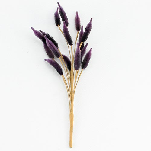 049072724252-galerias el triunfo