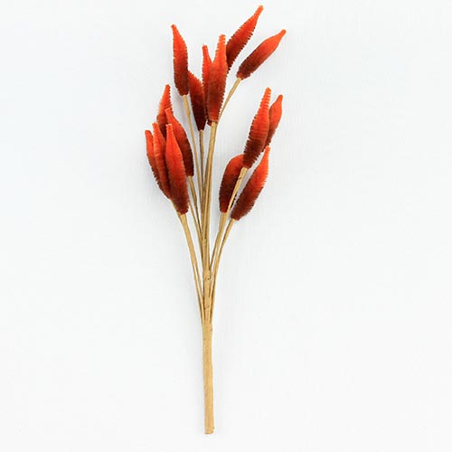 049072724253-galerias el triunfo