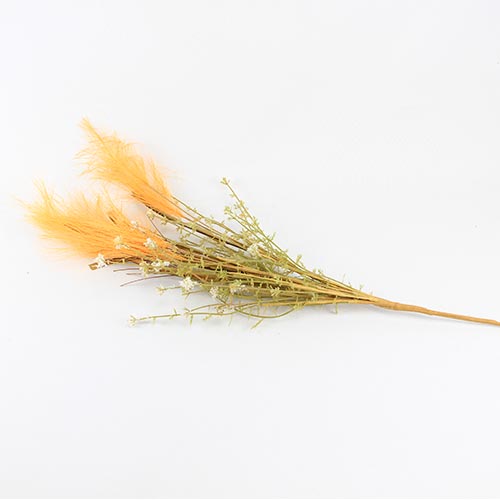 049072724279-galerias el triunfo