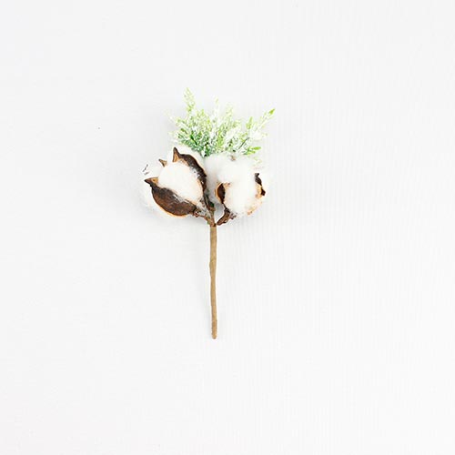 049072724286-galerias el triunfo