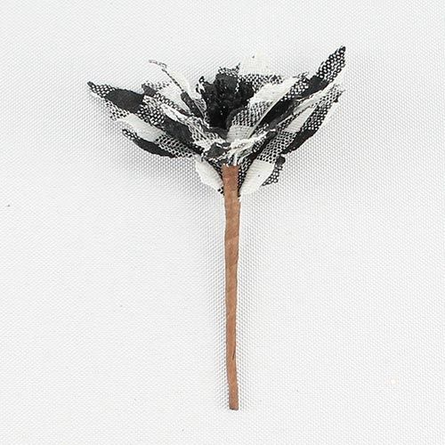 049072724369-galerias el triunfo