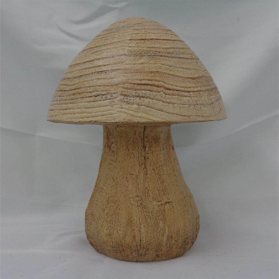 049072778816-galerias el triunfo