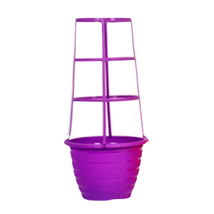 072072505018-galerias el triunfo