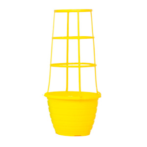 072072505020-galerias el triunfo