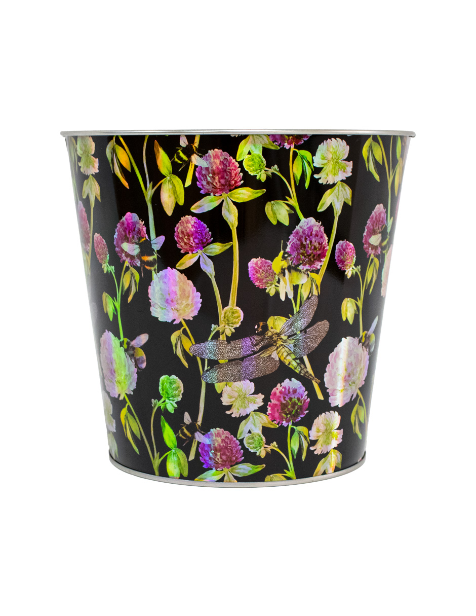 072072812024-galerias el triunfo