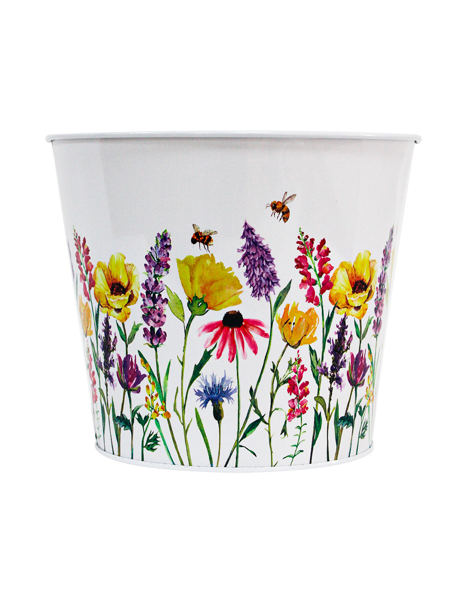 072072812025-galerias el triunfo