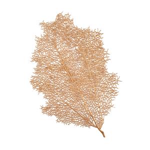 156072692201-galerias el triunfo