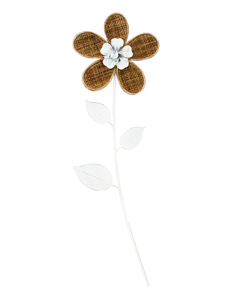 164072170051-galerias el triunfo