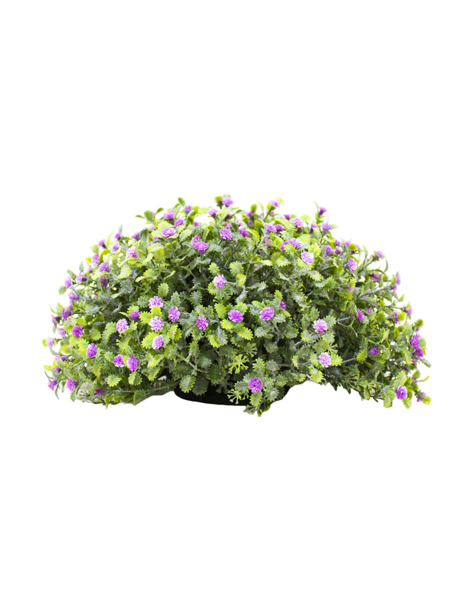 024071525028-galerias el triunfo