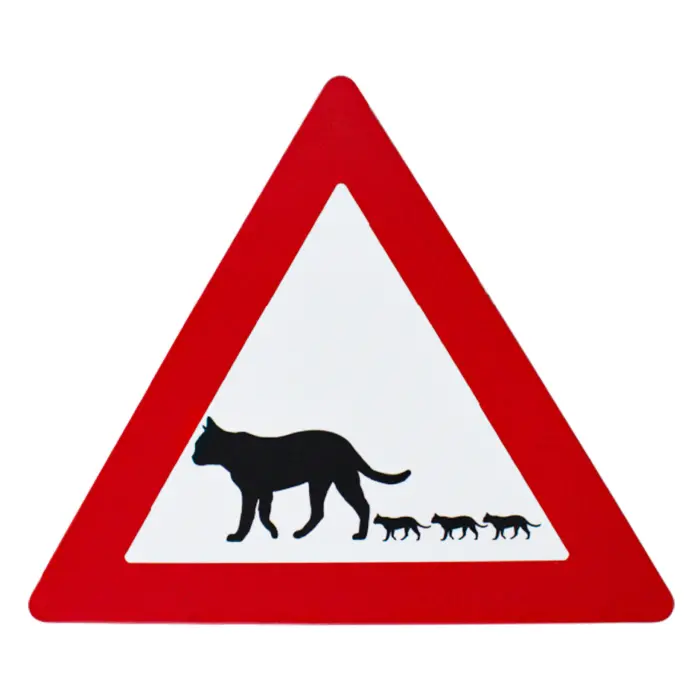 100907476169-galerias el triunfo