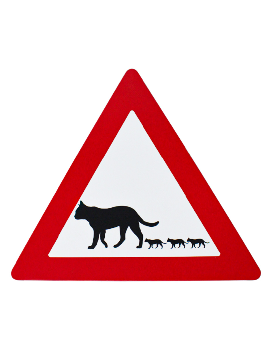 100907476169-galerias el triunfo