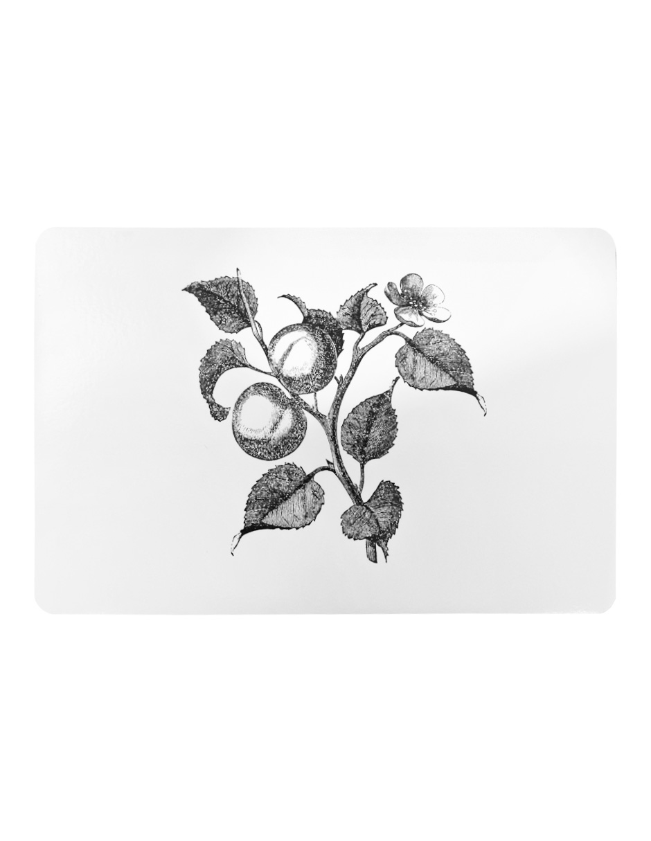 156072742084-galerias el triunfo