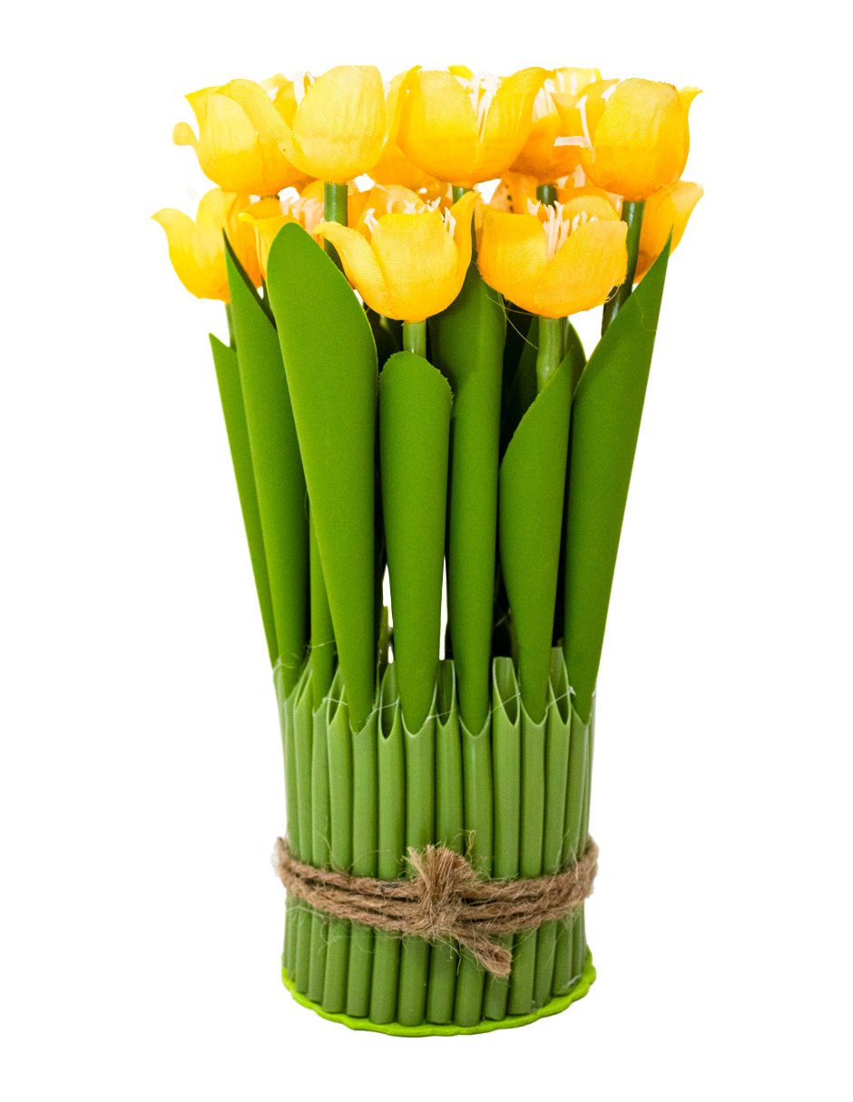 301001736838-galerias el triunfo