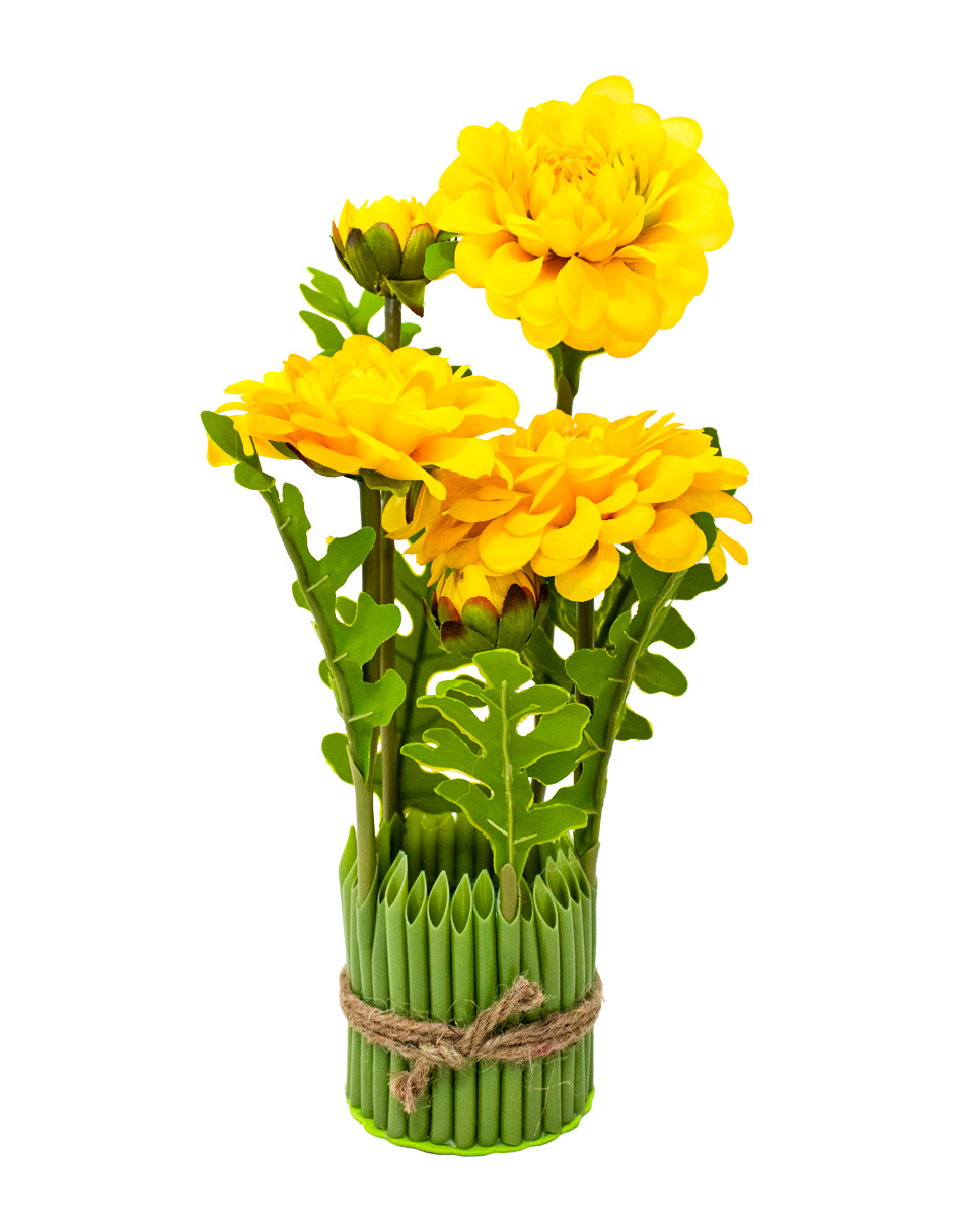 301001736847-galerias el triunfo