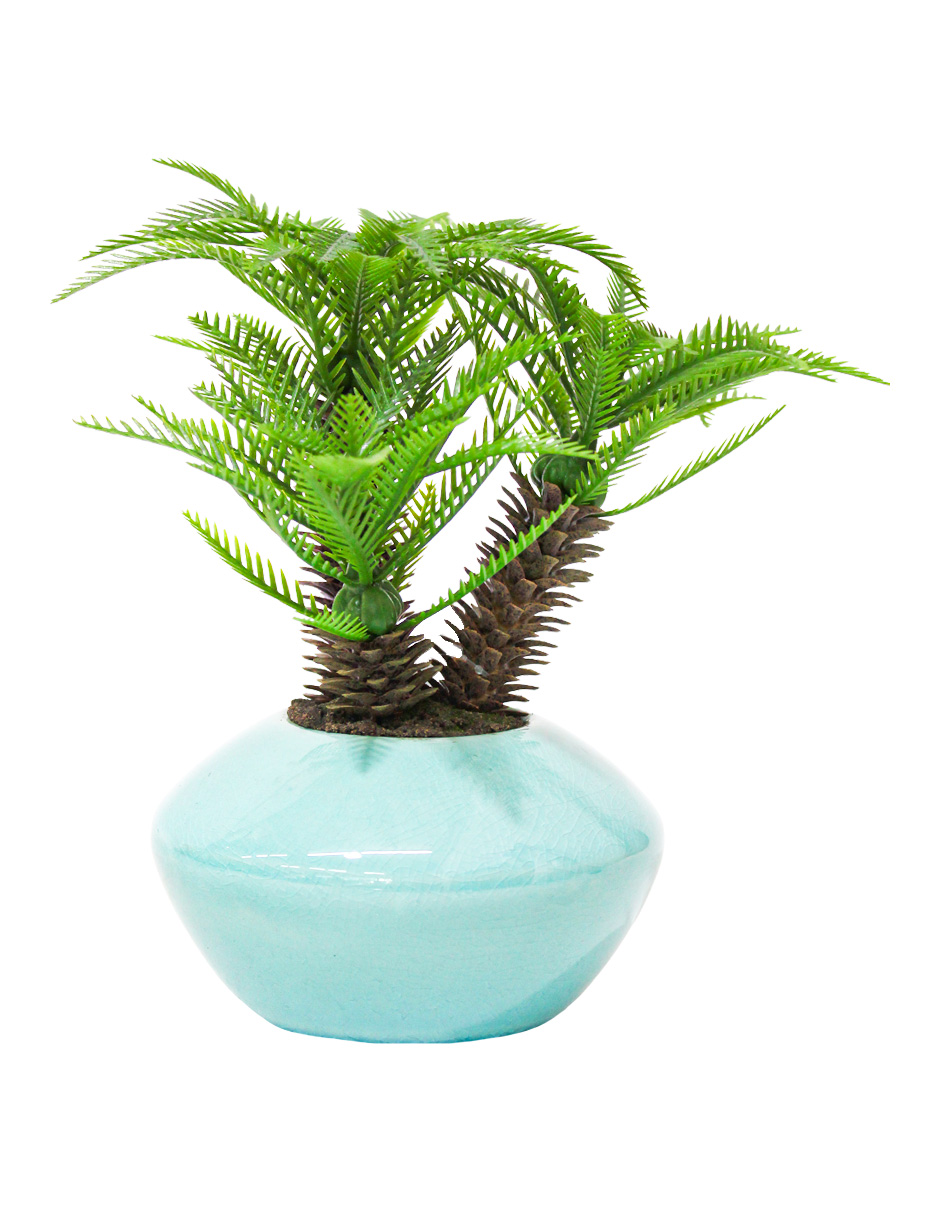 301001736866-galerias el triunfo