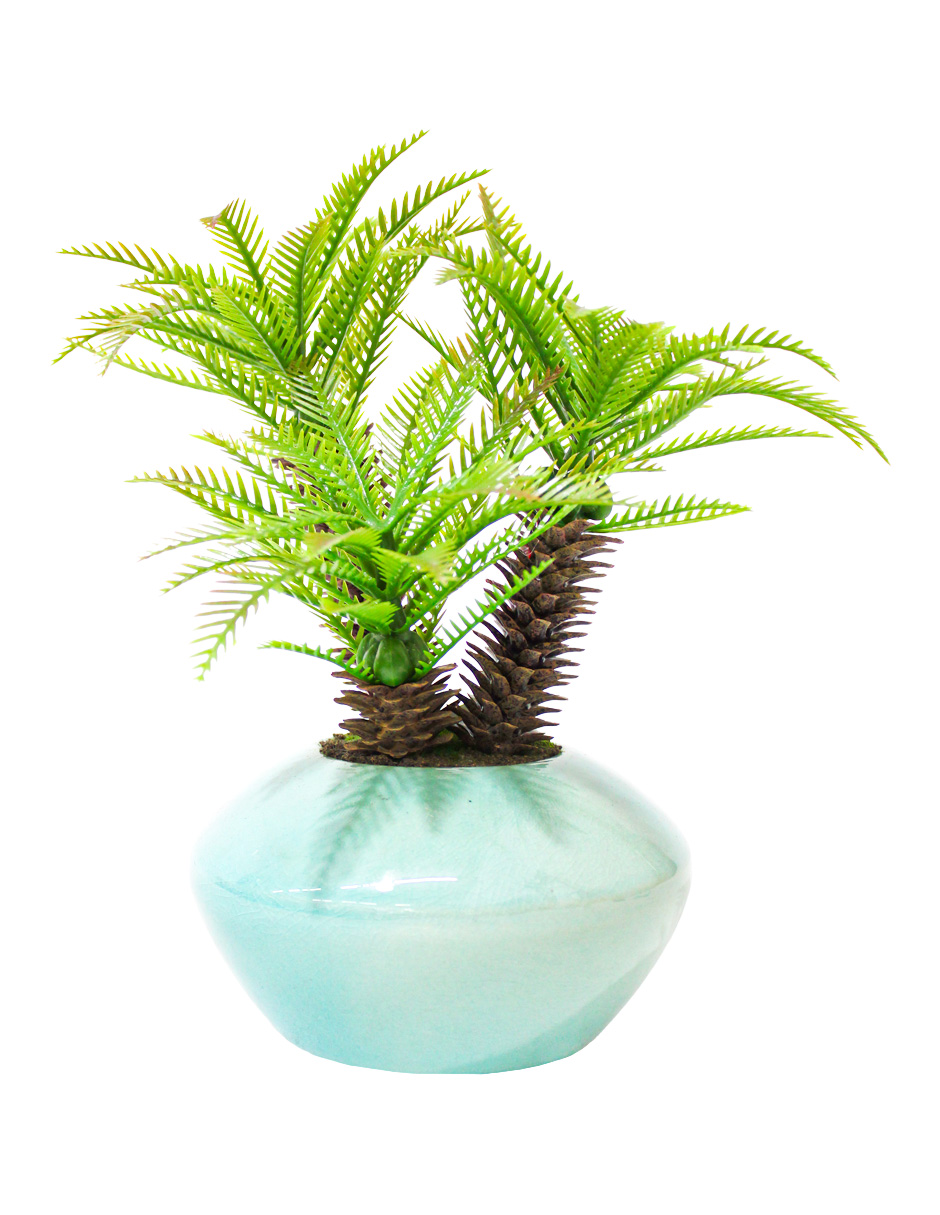 301001736868-galerias el triunfo