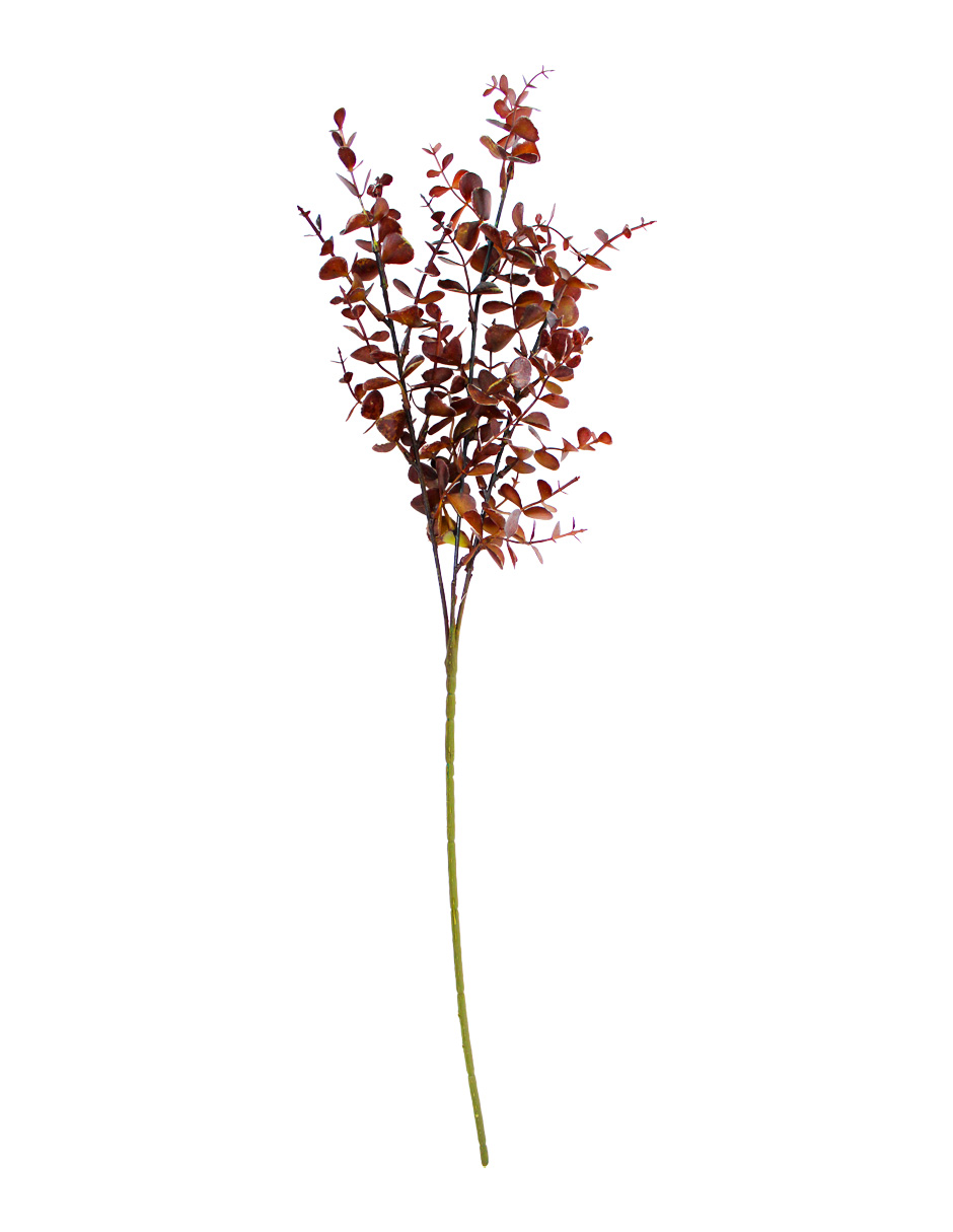 301001736882-galerias el triunfo