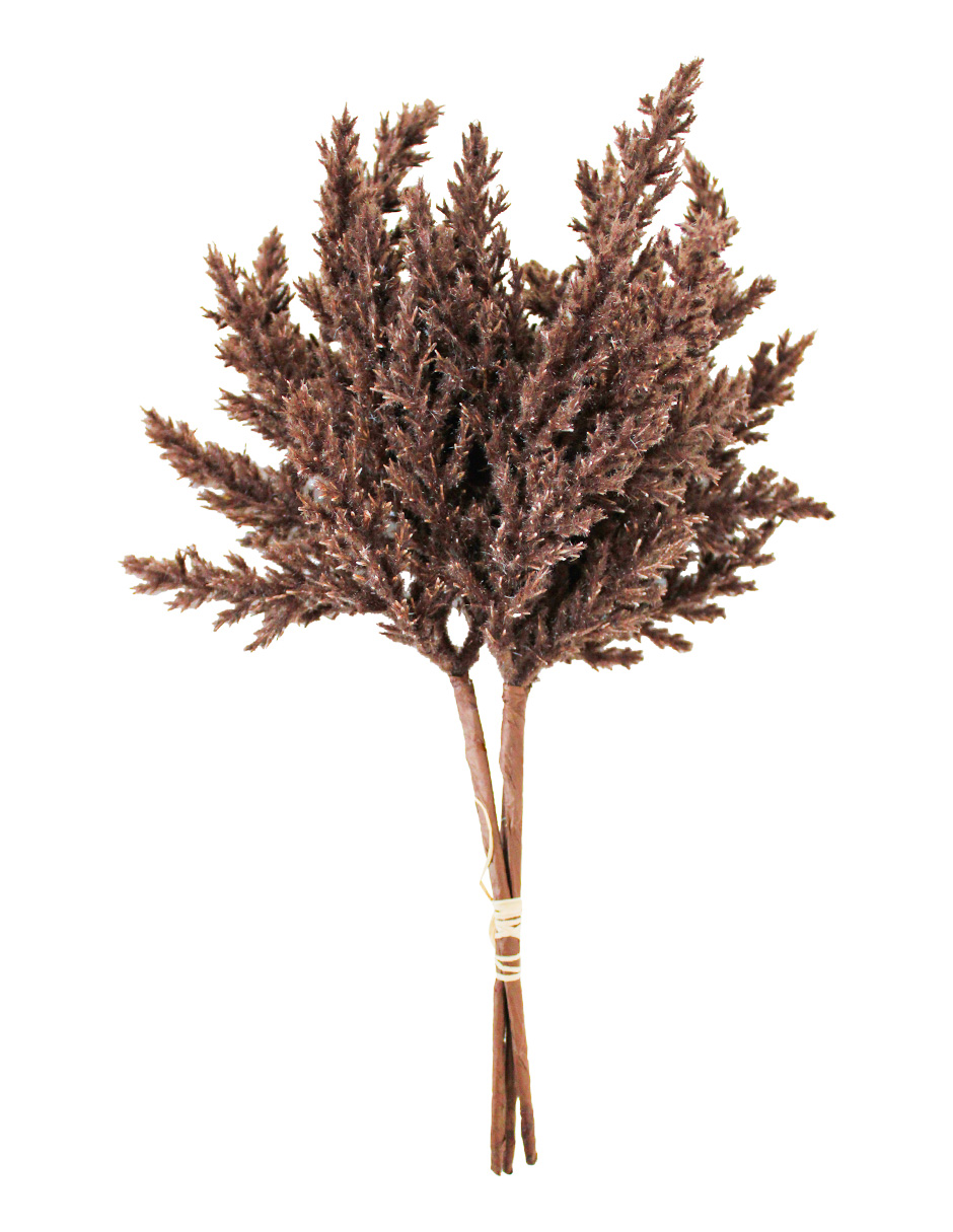 301001736889-galerias el triunfo