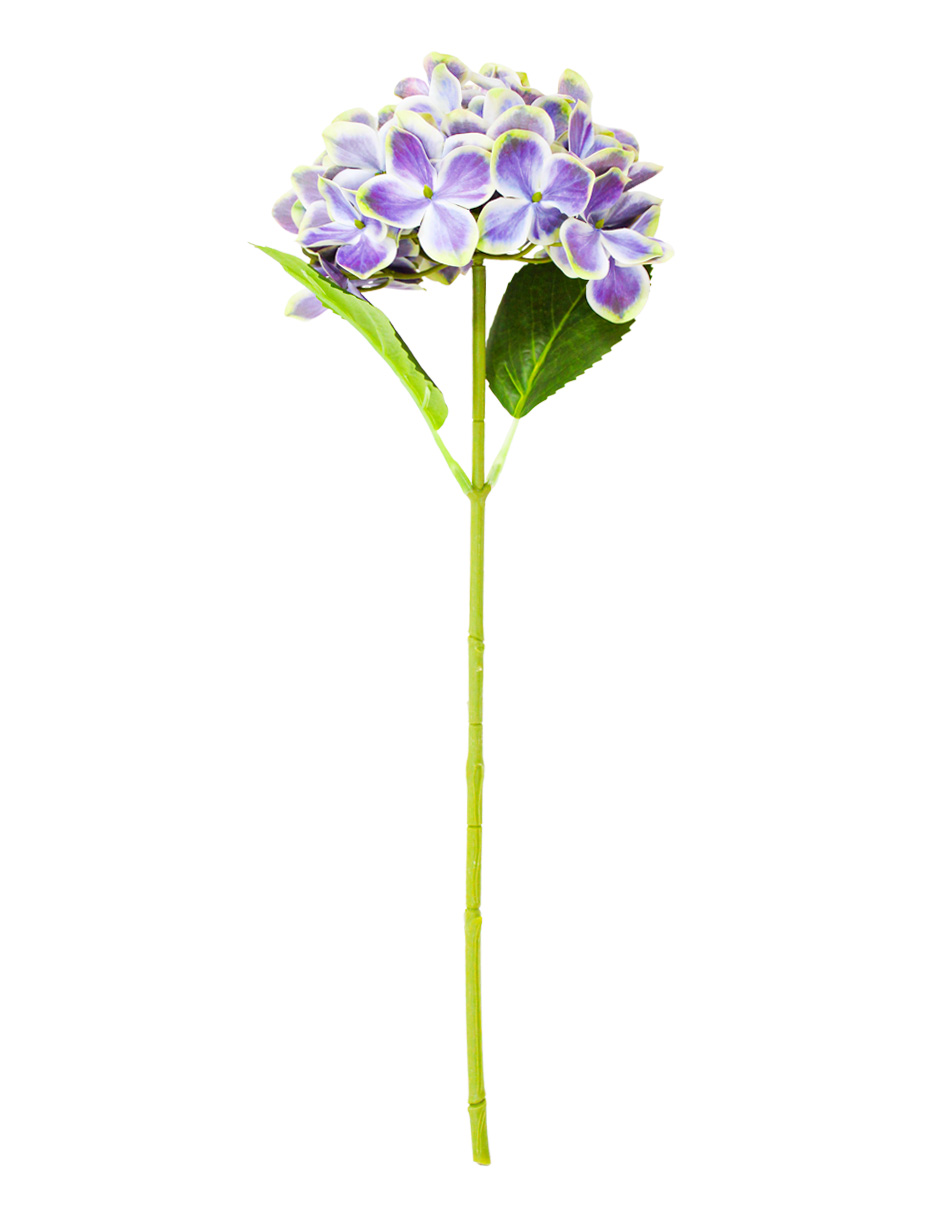 301001736969-galerias el triunfo