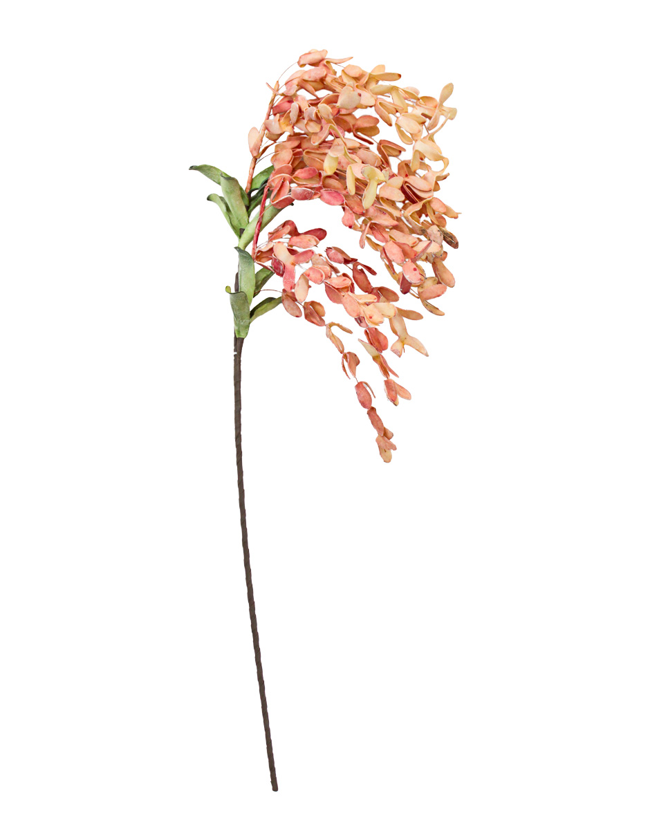 301001736989-galerias el triunfo