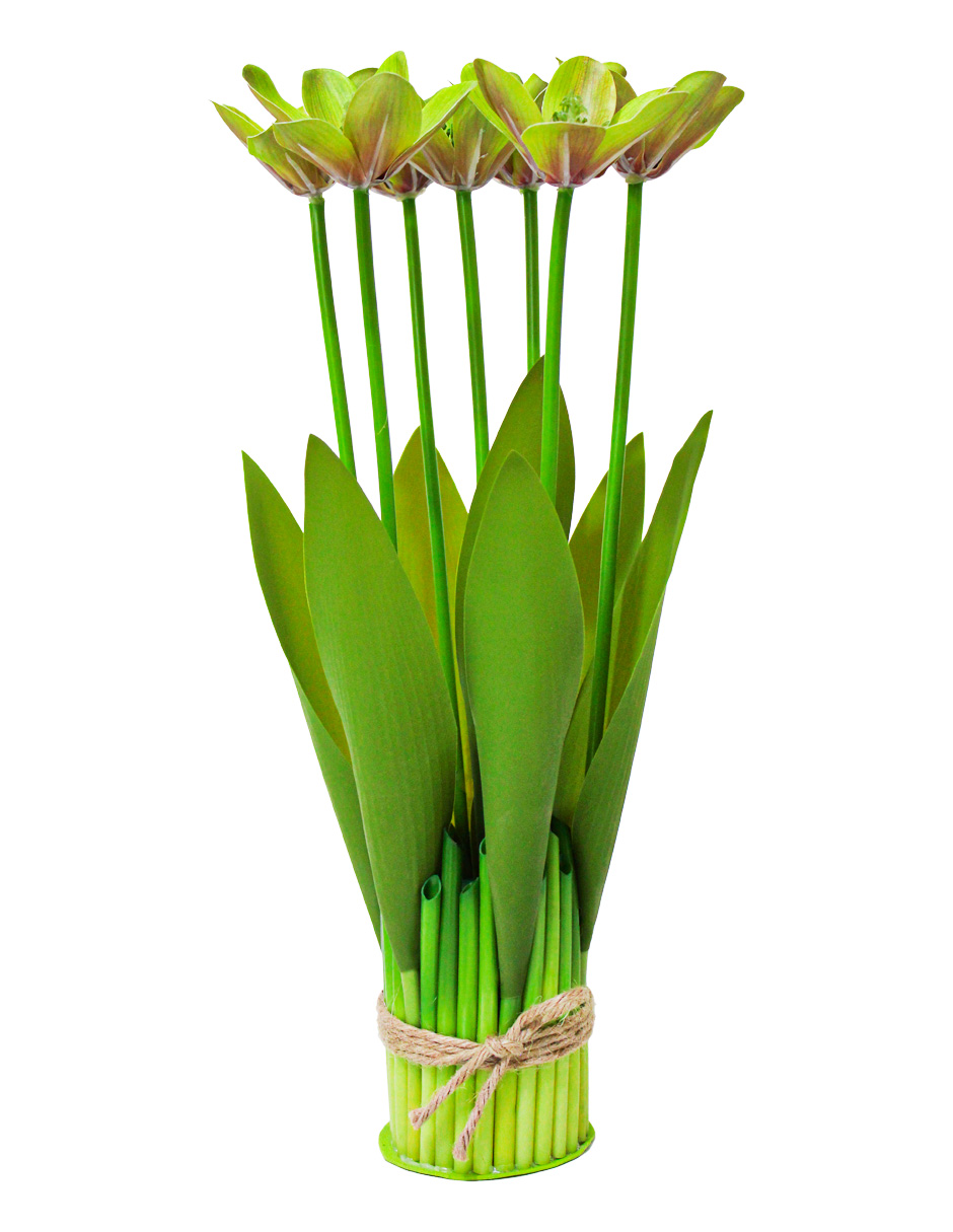 302001736026-galerias el triunfo