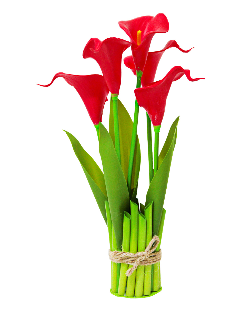 302001736032-galerias el triunfo